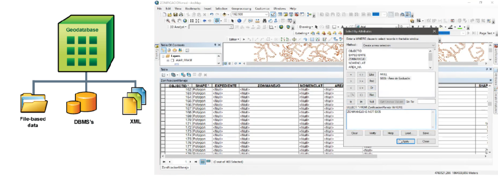 Curso de Geodatabase (GDB) ANLA Aplicado a EIA, ICA y PMA - Agosto 2026