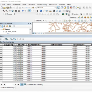 Curso de Geodatabase (GDB) ANLA Aplicado a EIA, ICA y PMA - Agosto 2026: imagen 2