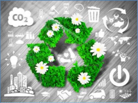 Curso Planes de Manejo Ambiental (PMA)