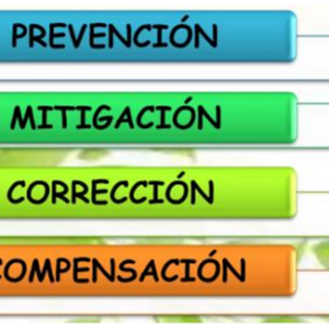 Curso Planes de Manejo Ambiental (PMA)