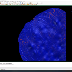 Curso de SURPAC: Software usado para Diseño Minero y Planeamiento Minero: imagen 5