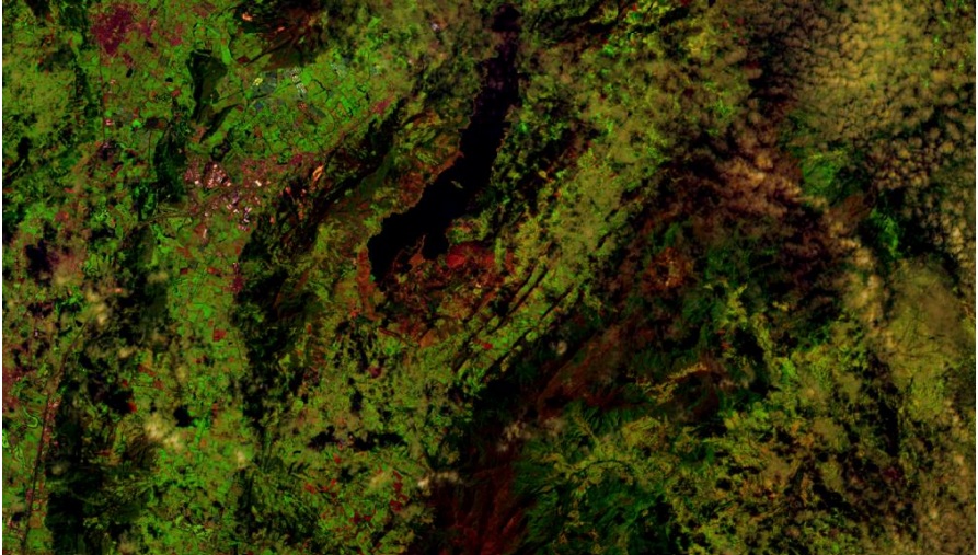 Curso de QGIS - Noviembre 2026